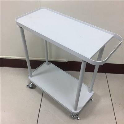 YDCA0031-WT